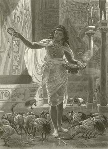 A szent íbisz etetése Karnac termeiben alkotó: Edward John Poynter