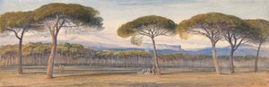 Kilátás a Cannes feletti fenyőerdőre alkotó: Edward Lear