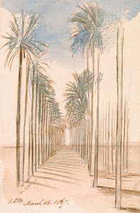 Fák sugárútja alkotó: Edward Lear