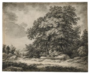 Erdei táj alkotó: Edward Lear