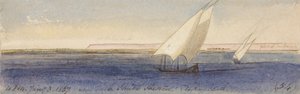 Nesle Sheikh Hassan közelében, dél felé nézve alkotó: Edward Lear