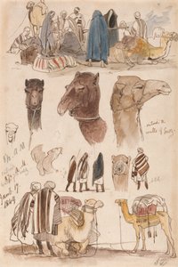 Szuez falain kívül, 1849. január 17., reggel 8:30 (54) alkotó: Edward Lear