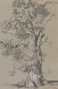 Parham, 1834. október 13 alkotó: Edward Lear