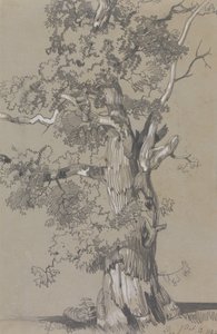 Parham, 1834. október 13. alkotó: Edward Lear