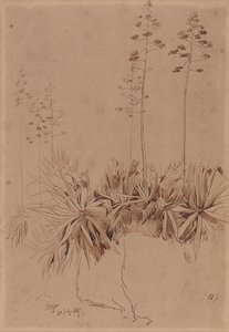 Reggio alkotó: Edward Lear