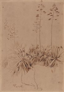 Reggio alkotó: Edward Lear