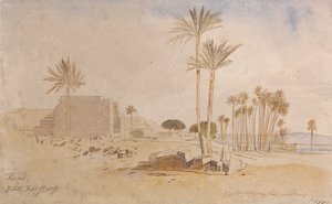 Tapha, 1867. február 17., 7 óra 50 perc. alkotó: Edward Lear
