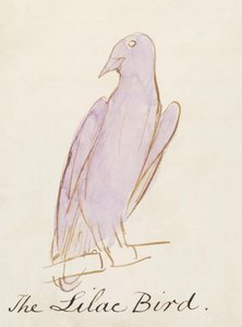 A lila madár a Tizenhat komikus madár rajzból (toll és tus wc papíron) alkotó: Edward Lear