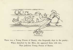 Volt egy fiatal Bantryban, aki gyakran aludt a kamrában alkotó: Edward Lear