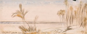 A Halfeh hátrányai alkotó: Edward Lear