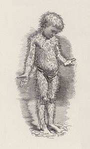 Illusztráció: Charles Kingsley: The Water-Babies (metszet) alkotó: Edward Linley (after) Sambourne