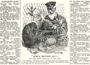 Punch rajzfilm: Abraham Dee Bartlett, a londoni állatkert felügyelője és egy gorillabébi (metszet) alkotó: Edward Linley (after) Sambourne