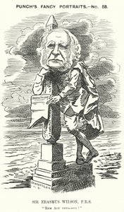 Punch rajzfilm: Sir Erasmus Wilson, angol sebész és bőrgyógyász (metszet)
