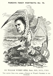 Punch rajzfilm: Sir William Withey Gull angol orvos, aki tífusz miatt kezelte a walesi herceget, és Viktória királynő rendes orvosa lett (metszet) alkotó: Edward Linley (after) Sambourne
