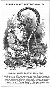 Charles Darwin (1809-1882) angol természettudós. Evolúció természetes szelekcióval. Edward Linley Sambourne (1844-1910) rajzfilmje a Fancy Portrait sorozatban a londoni Punchban 1881-ben, abban az évben, amikor Darwin kiadta A növényi penész kialakulása az