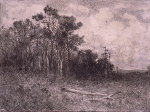 Tájkép, erdei tájkép alkotó: Edward Mitchell Bannister