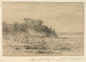 Tájkép mocsárral alkotó: Edward Mitchell Bannister