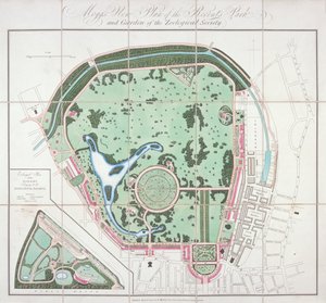 A Zoological Gardens terve, Regent