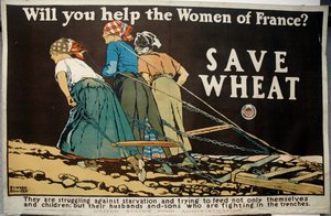 Segítesz a francia nőknek alkotó: Edward Penfield