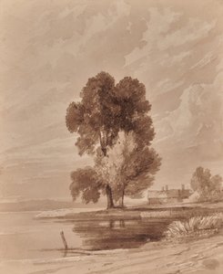 Táj fákkal alkotó: Edward Pretty