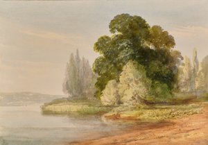 Táj fákkal alkotó: Edward Pretty
