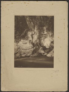 Apache-Black River (A platánnál) alkotó: Edward S. Curtis