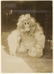 A farkas maszkban alkotó: Edward S. Curtis