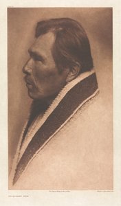 IX. portfólió, 319. tábla: Snoqualmu típus