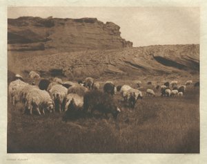 I. portfólió, 33. tábla: Navaho nyájak alkotó: Edward S. Curtis