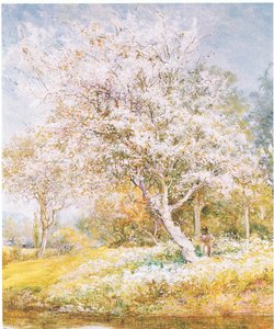 Virággyűjtés, folyóiratból vagy könyvből ismeretlen forrásból (színes litho) alkotó: Edward Samuel Harper