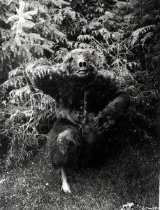 Nane-Qagyuhl, indián jelmez alkotó: Edward Sheriff Curtis