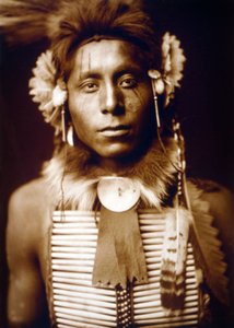 Ülő sas, varjúember, c. 1905, fénykép Edward S. Curtis alkotó: Edward Sheriff Curtis
