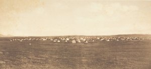 Naptánc tábor - Piegan, 1900. alkotó: Edward Sheriff Curtis