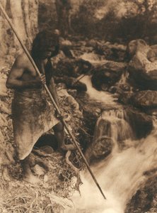 A Hupa törzs vagy falu fiatal indiánja lazacot halászik egy hosszú bottal. Az ágyékára kötött állatbőrt visel. Mögötte erdő és patak alkotó: Edward Sheriff Curtis