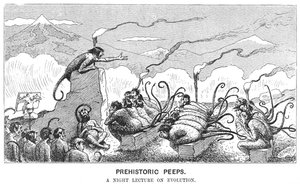 Prehistoric Peeps: Éjszakai előadás az evolúcióról, 1894.