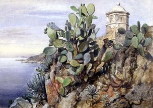 Opuntia kaktusz, Monaco alkotó: Edward William Cooke