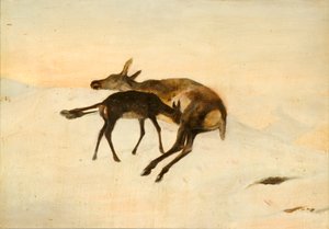 Véletlen lövés (olaj a fedélzeten) alkotó: Edwin (after) Landseer
