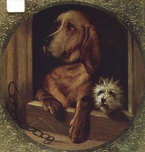 Egy közös kennel