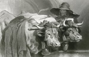 Ökrök a tanknál, Genf (metszet) alkotó: Edwin (after) Landseer