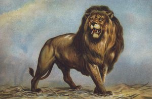 Oroszlántanulmány a Trafalgar Square-en, Landseer, National Gallery, London (színes litó)
