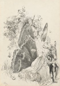 Bottom and Titania, illusztráció a Szentivánéjhoz alkotó: Edwin Austin Abbey
