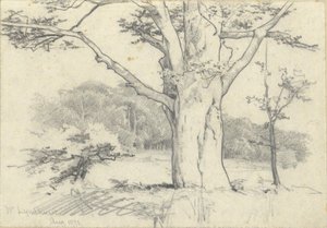 Nr. Lyndhurst, 1871. aug alkotó: Edwin Austin Abbey