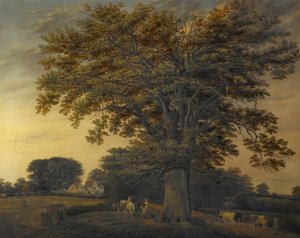 A Binley-tölgy, 1848 alkotó: Edwin Brown