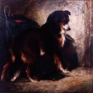 A Shepherd