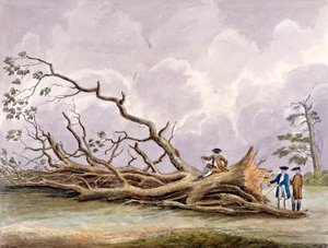 Egy október 15-i vihar által megrongált fák, Roehampton, London, 1780