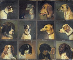 Tizenkét kedvenc kutya, 1883