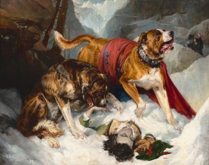 Alpesi masztiffok újraélesztik a bajba jutott utazót, 1820.