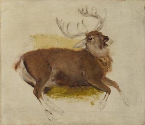 Dying Stag, kb. 1830. alkotó: Edwin Landseer