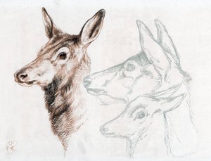 Sir E Landseer 1874-es rajzának fakszimile. alkotó: Edwin Landseer