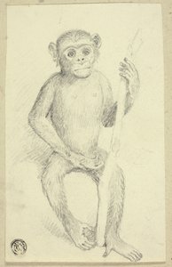 Orangután
